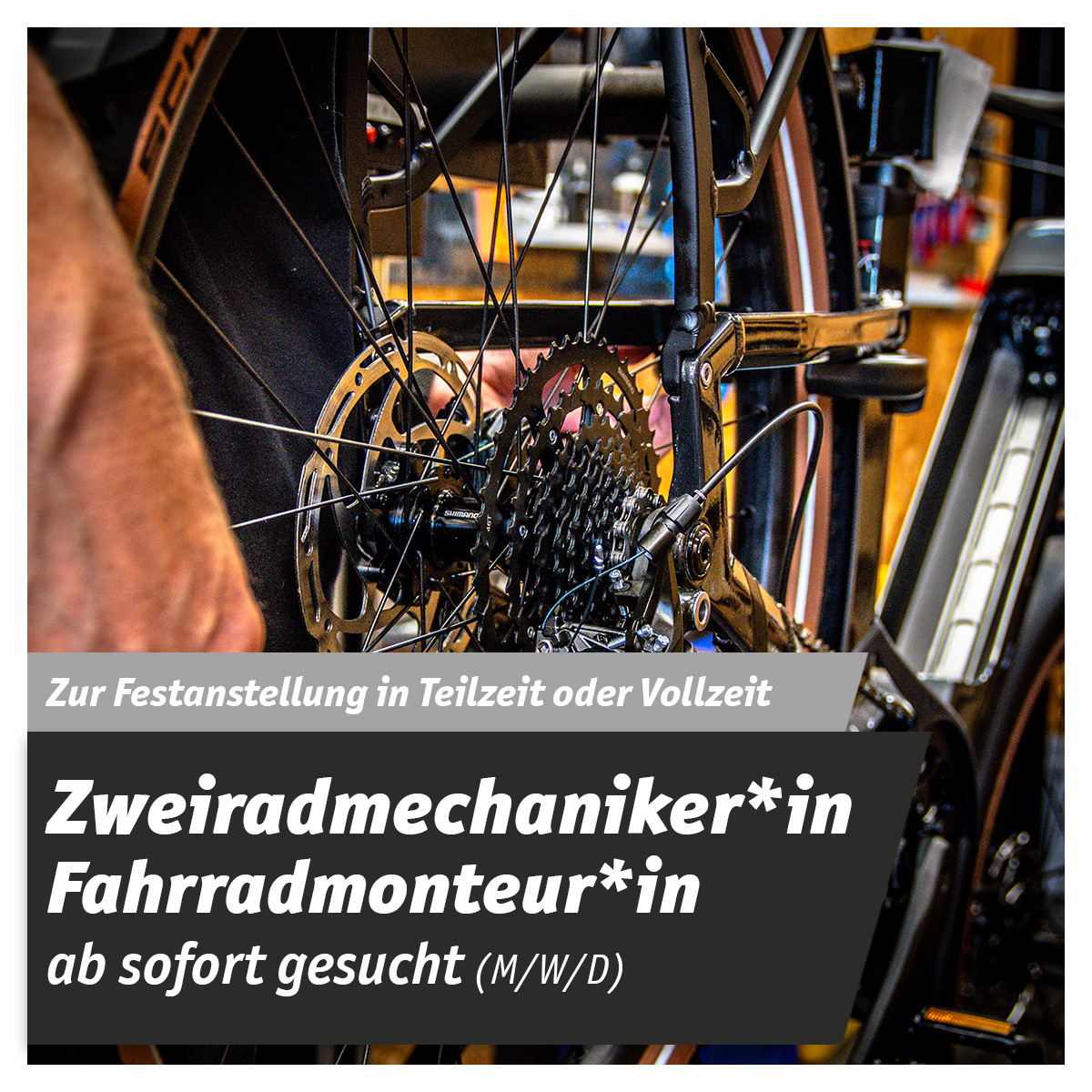Stellenangebot Fahrrad Werkstatt