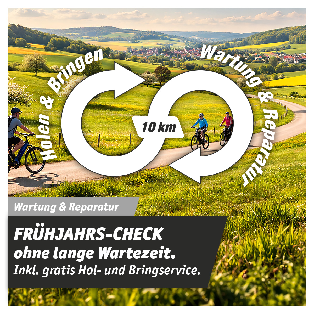 Frühjahrs-Check Frühjahrs-Check