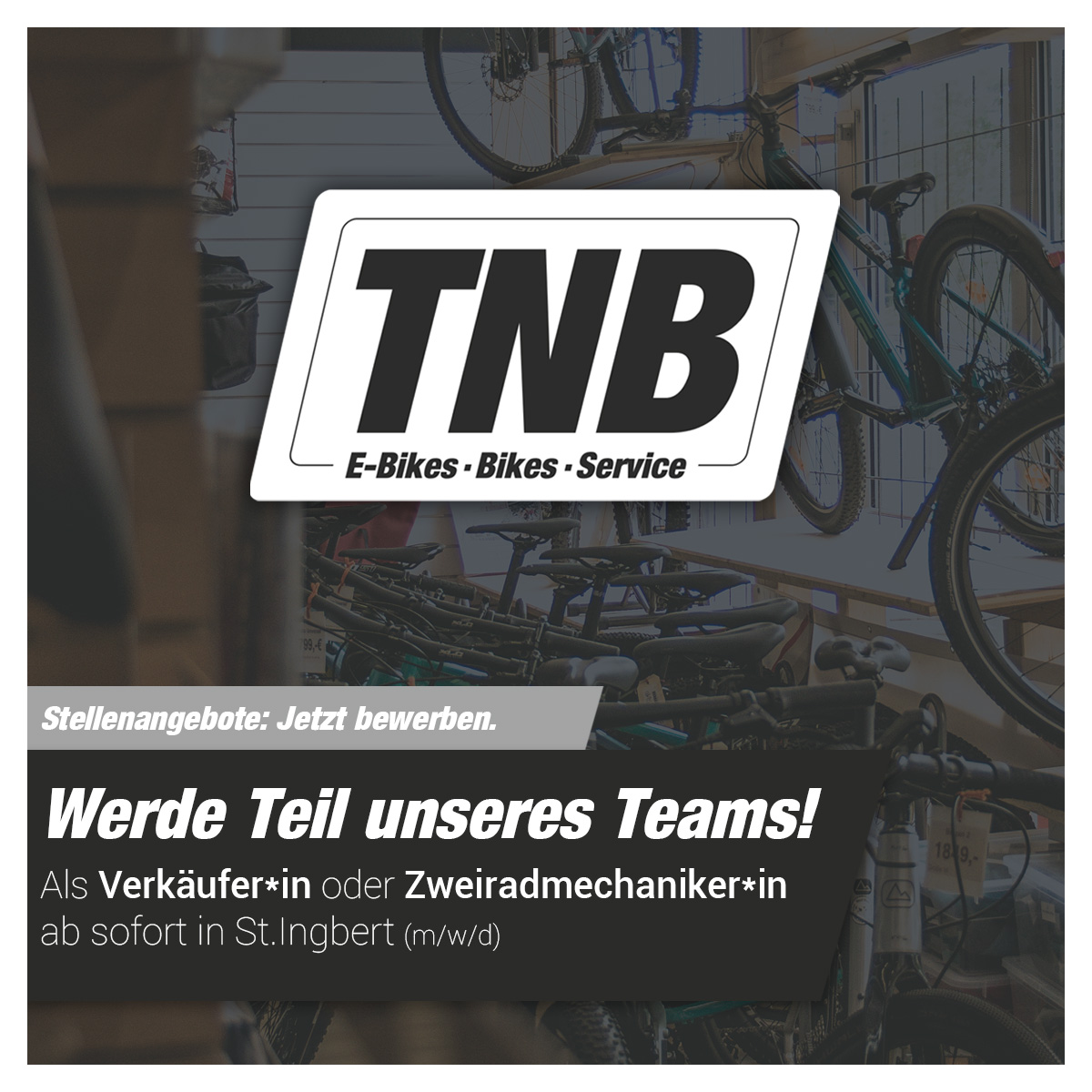 Stellenangebote Fahrrad Werkstatt Verkauf
